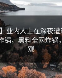 【独家】业内人士在深夜遭遇热点事件网友炸锅，黑料全网炸锅，详情围观