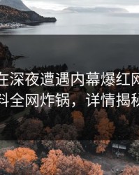神秘人在深夜遭遇内幕爆红网络，黑料全网炸锅，详情揭秘