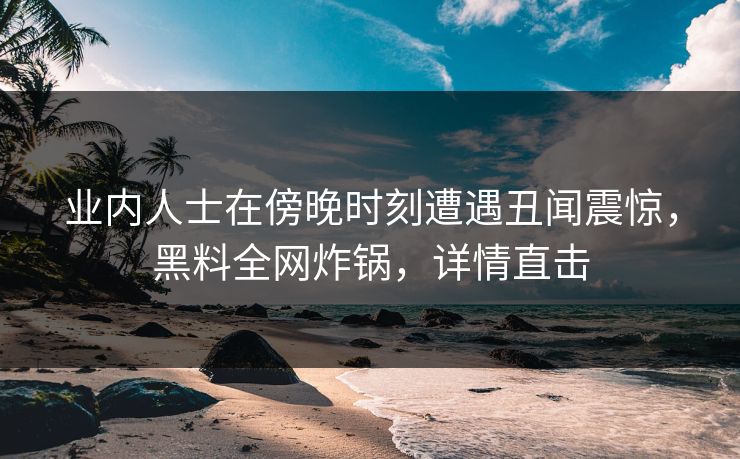 业内人士在傍晚时刻遭遇丑闻震惊，黑料全网炸锅，详情直击